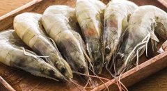 厄瓜多爾冷凍白蝦進口報關案例【建議收藏】